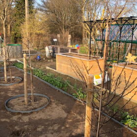 Mein Miniobstgarten